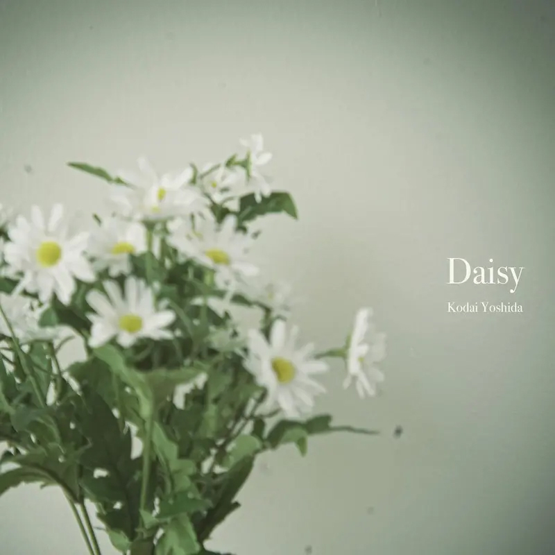 Daisy